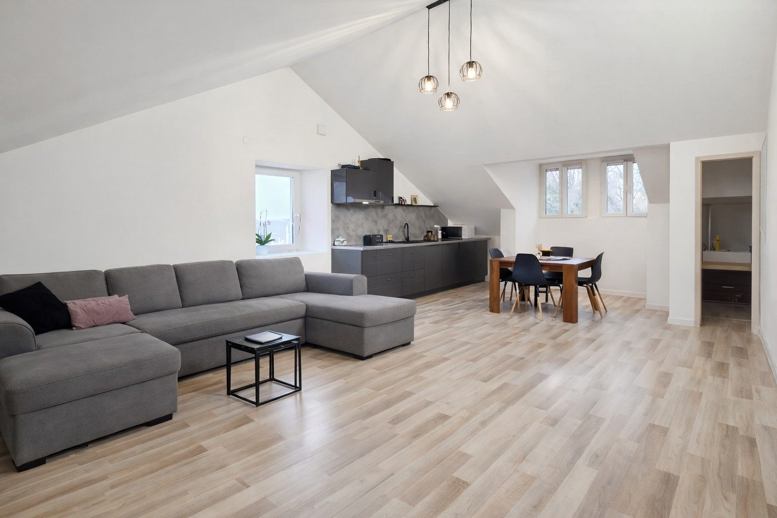Appartement dans Lully