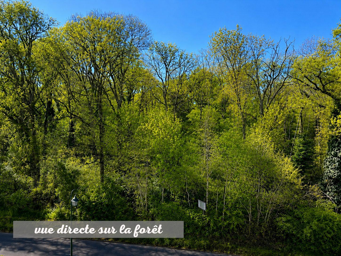 Top floor facing the forest – bright and with unobstructed views 4