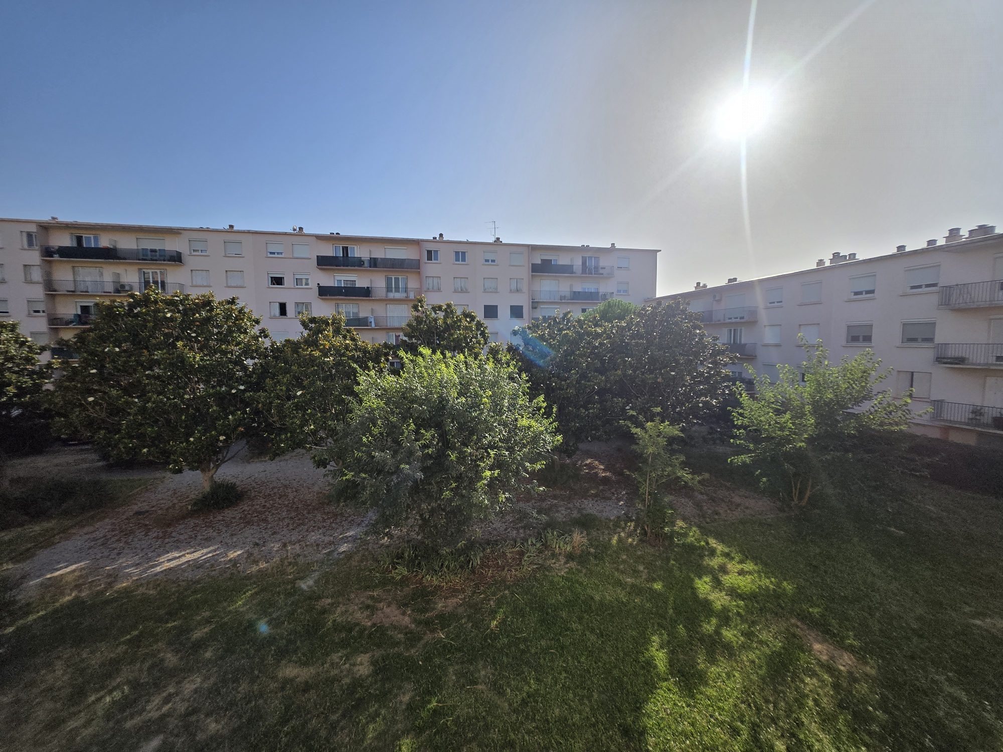 Bright and Pleasant Apartment 4