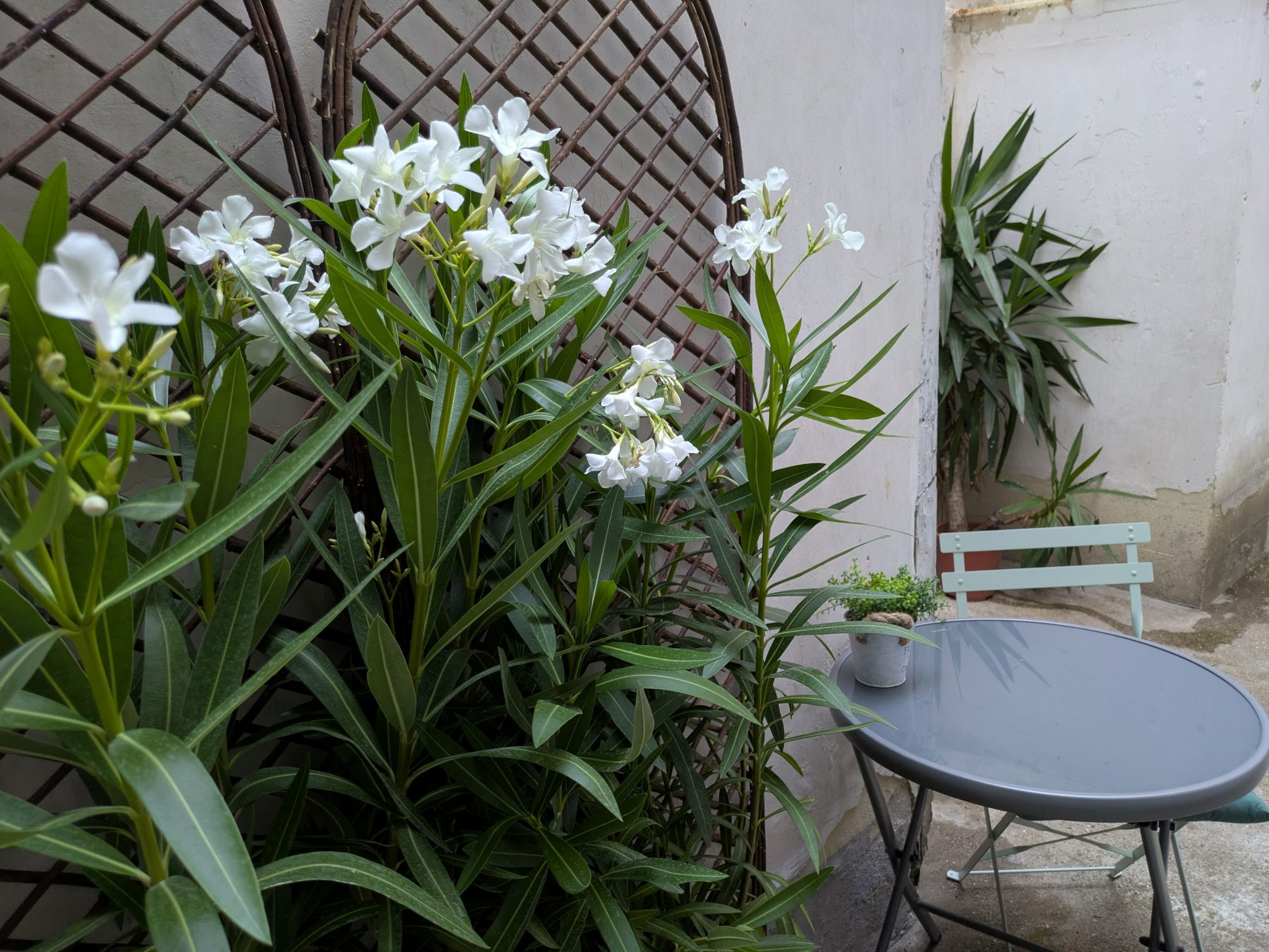Appartement à vendre à Paris, 26 m²