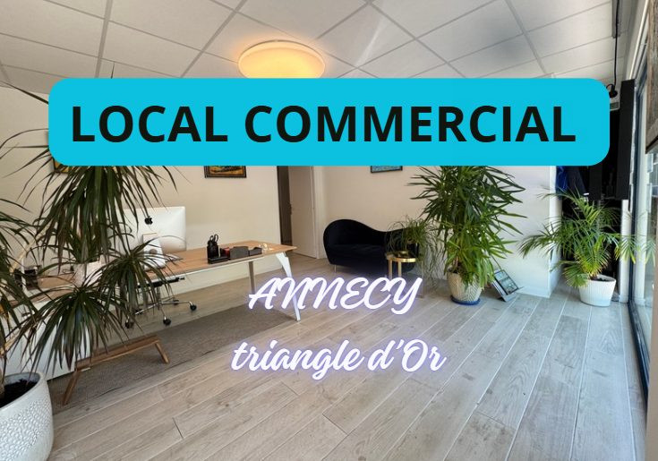 Droit au bail dans Annecy