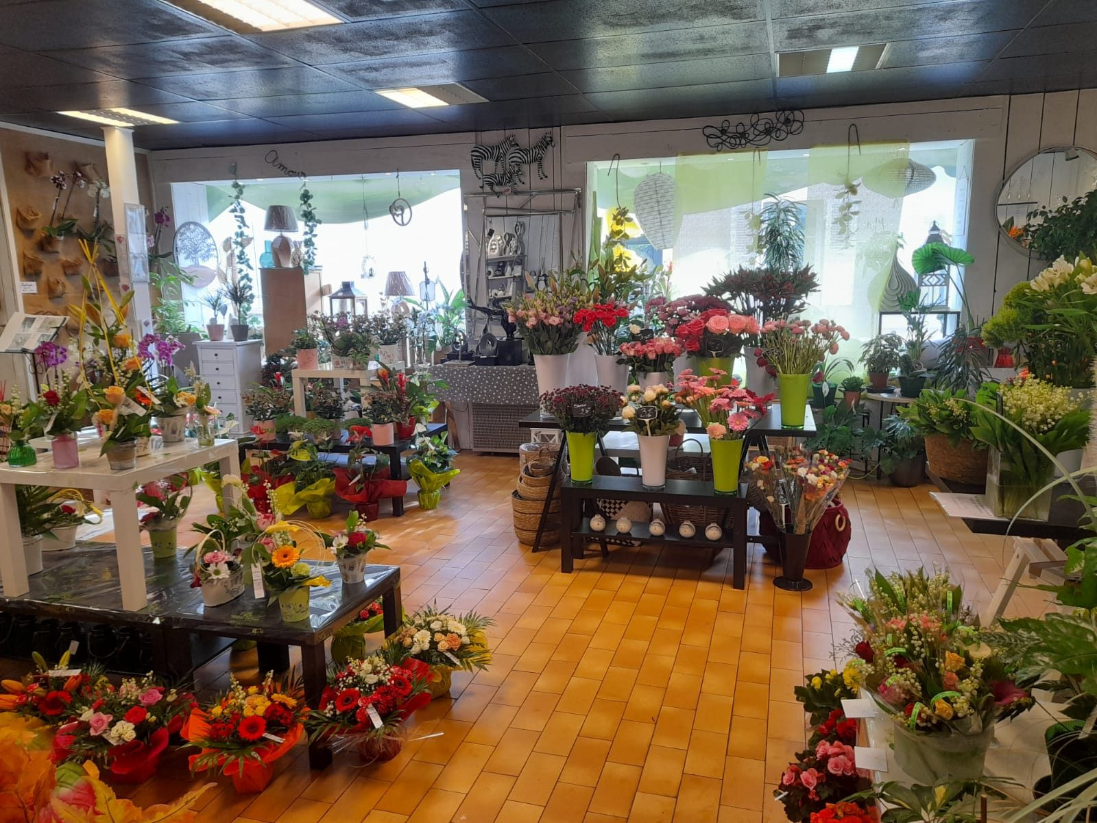 Fonds de commerce dans Bourbon-Lancy · 280 m² · 220 000 €