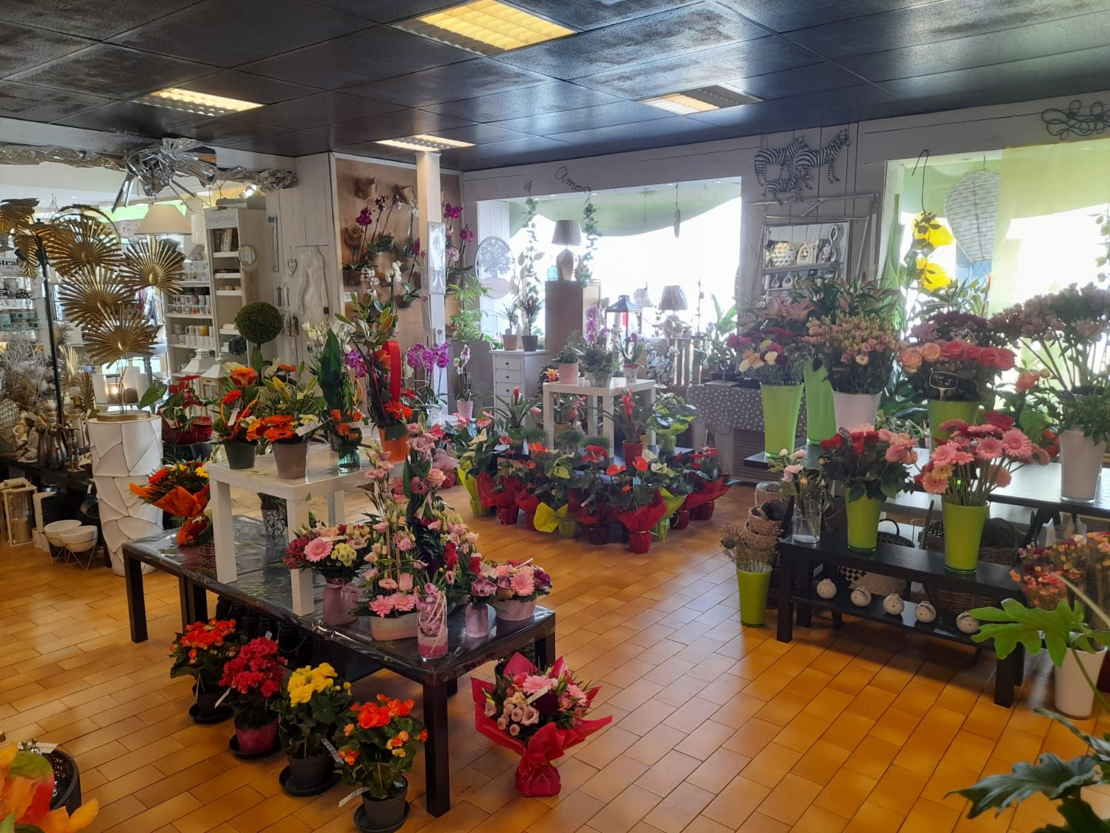Business for sale in Bourbon-Lancy