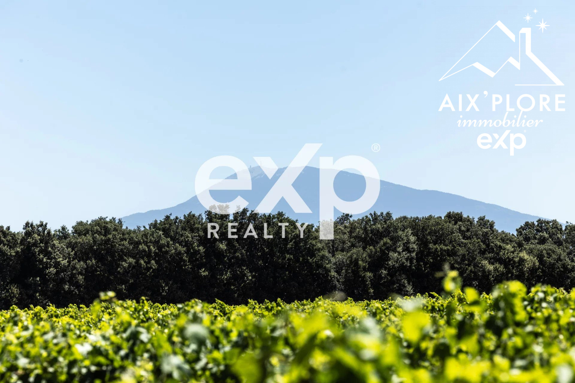 Vente Exceptionnelle d'un Domaine Viticole : Cave à Vin et 2 appartements · à Sainte-Cécile-les-Vignes · 4 189 500 €