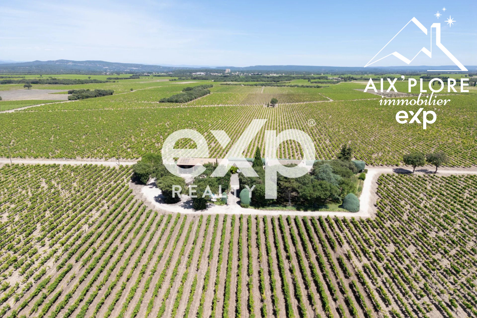 Exceptional Sale of a Wine Estate: Wine Cellar and 2 Apartments 4