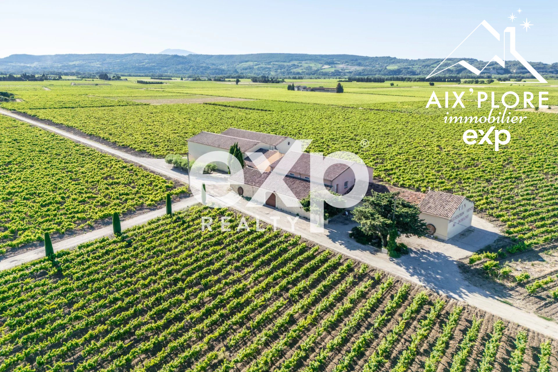 Vente Exceptionnelle d'un Domaine Viticole : Cave à Vin et 2 appartements