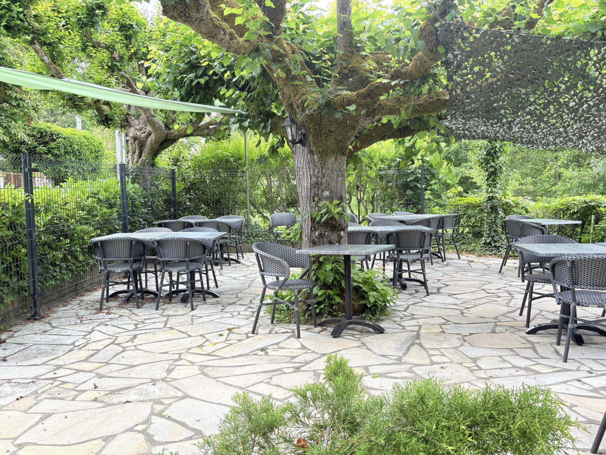 Business for sale in Vulaines-sur-Seine 5