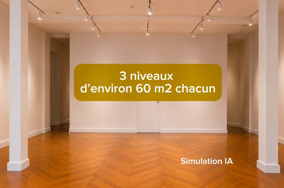 CESSION FONDS DE COMMERCE sur 3 niveaux
