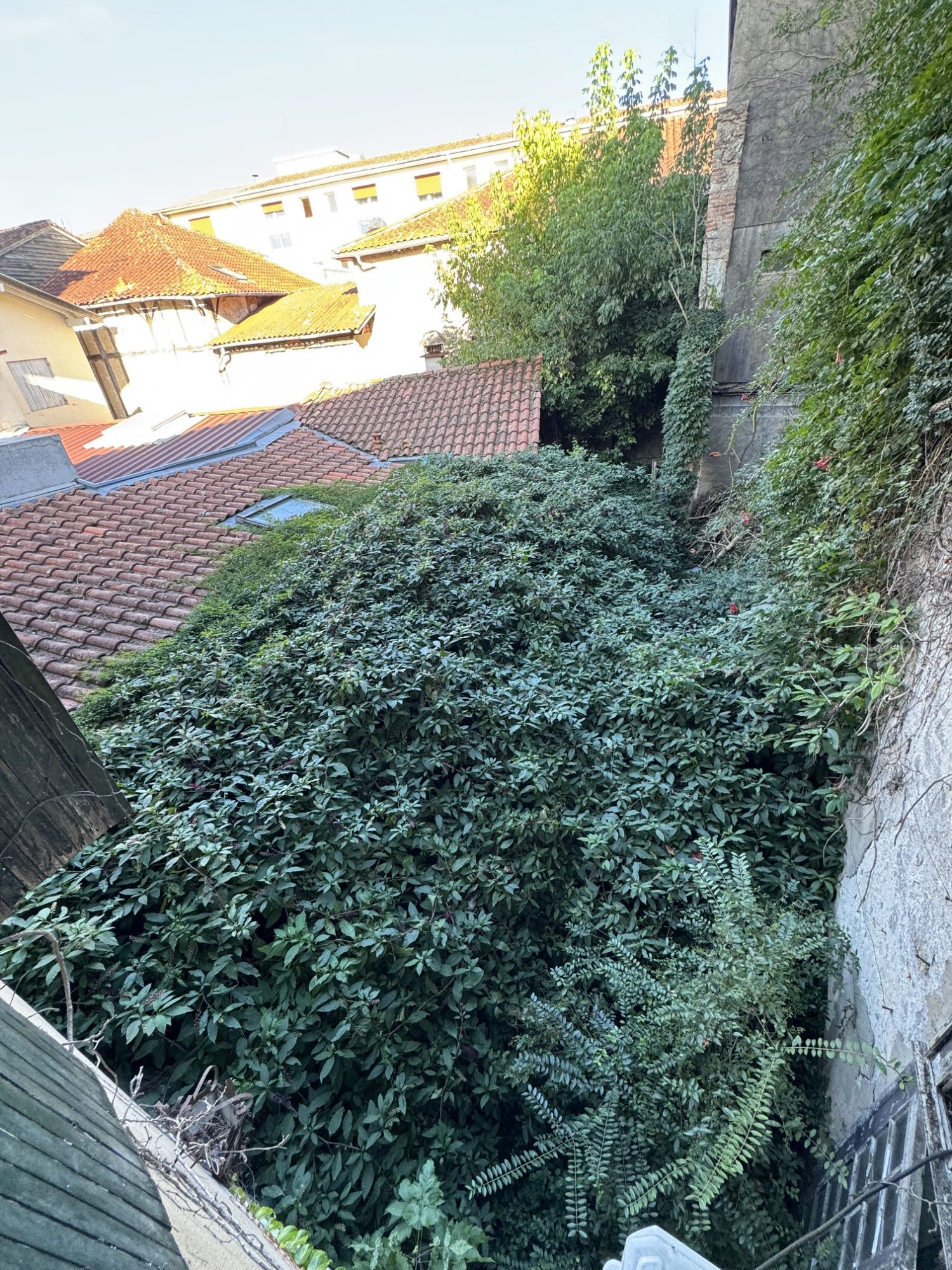 Immeuble à vendre à Dax