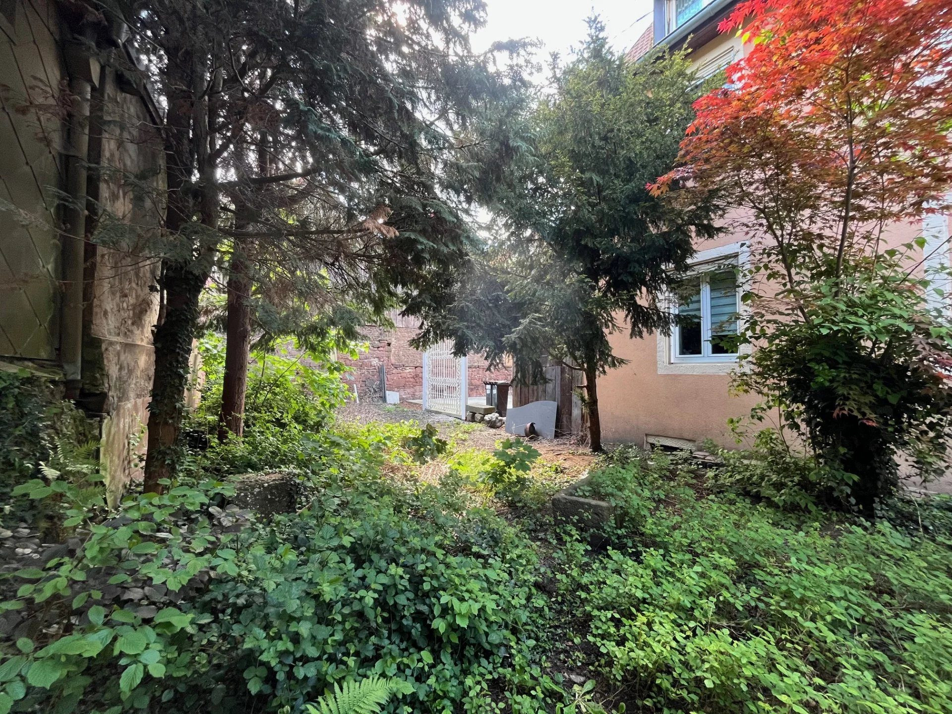 Immeuble à vendre à Guebwiller