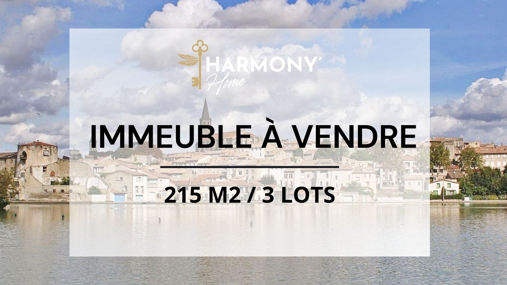 IMMEUBLE A VENDRE