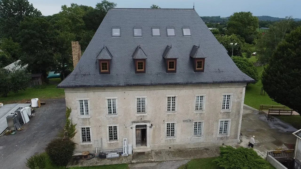 Vast estate with Castle and manor house 4