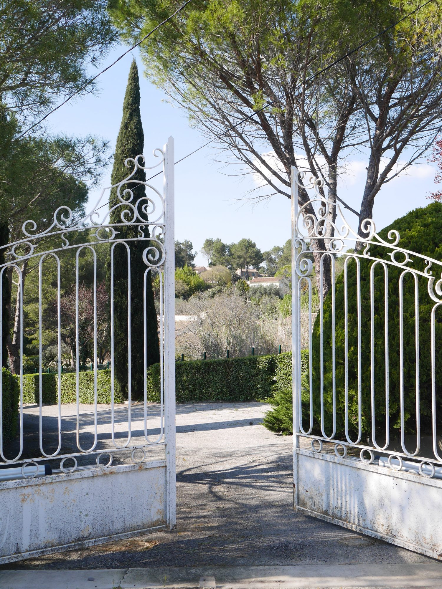 RARE IN NIMES 5