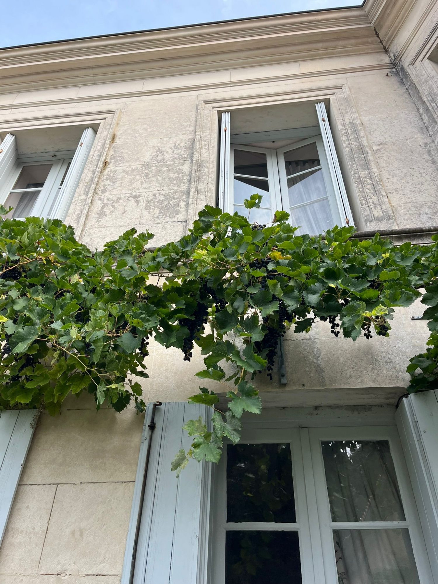 Une Œuvre à Habiter — Domaine d’Artistes au Cœur de l’Estuaire