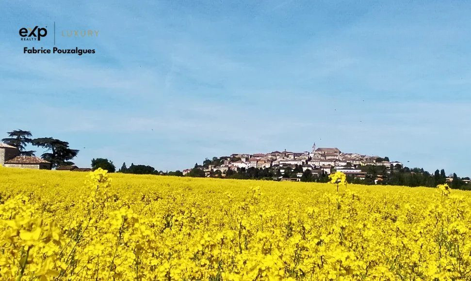 Rare 8.5 hectare property with dominant views, guesthouses, unrestricted commercial use 4