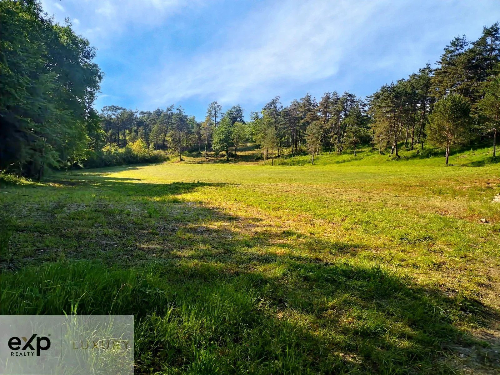 Tranquility and Space – Modern Property with Wooded Land 3
