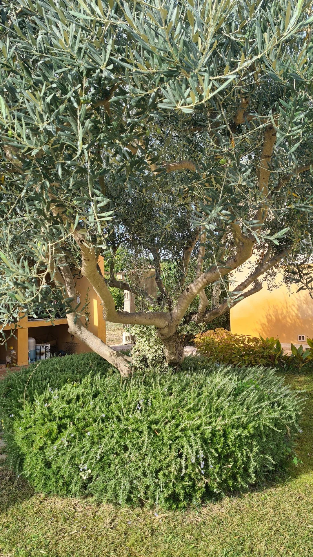 High-quality single-story villa with swimming pool and garden 5