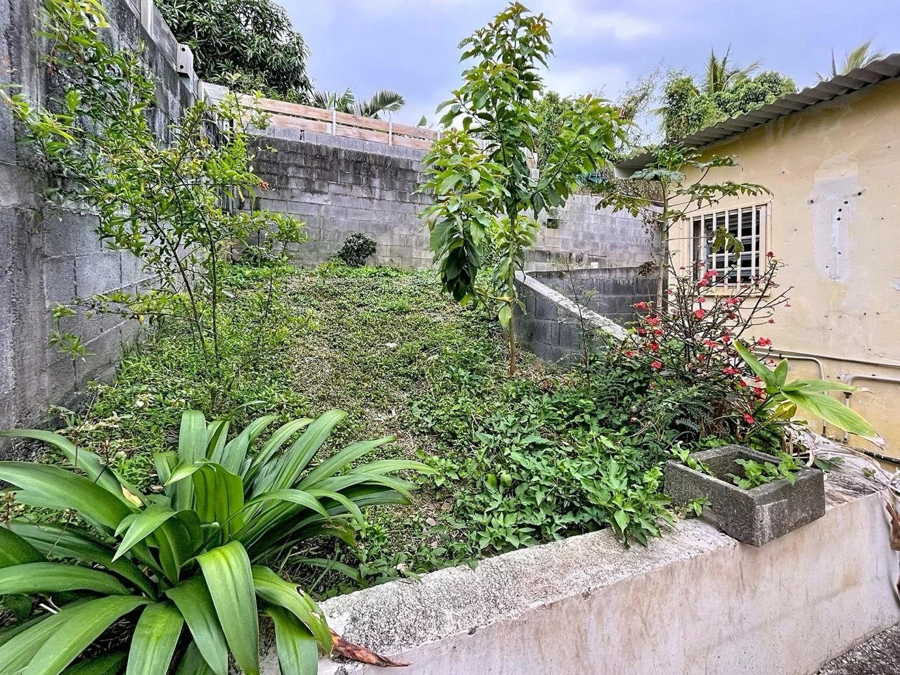 Maison créole à L'Étang-Salé – Emplacement privilégié et fort potentiel