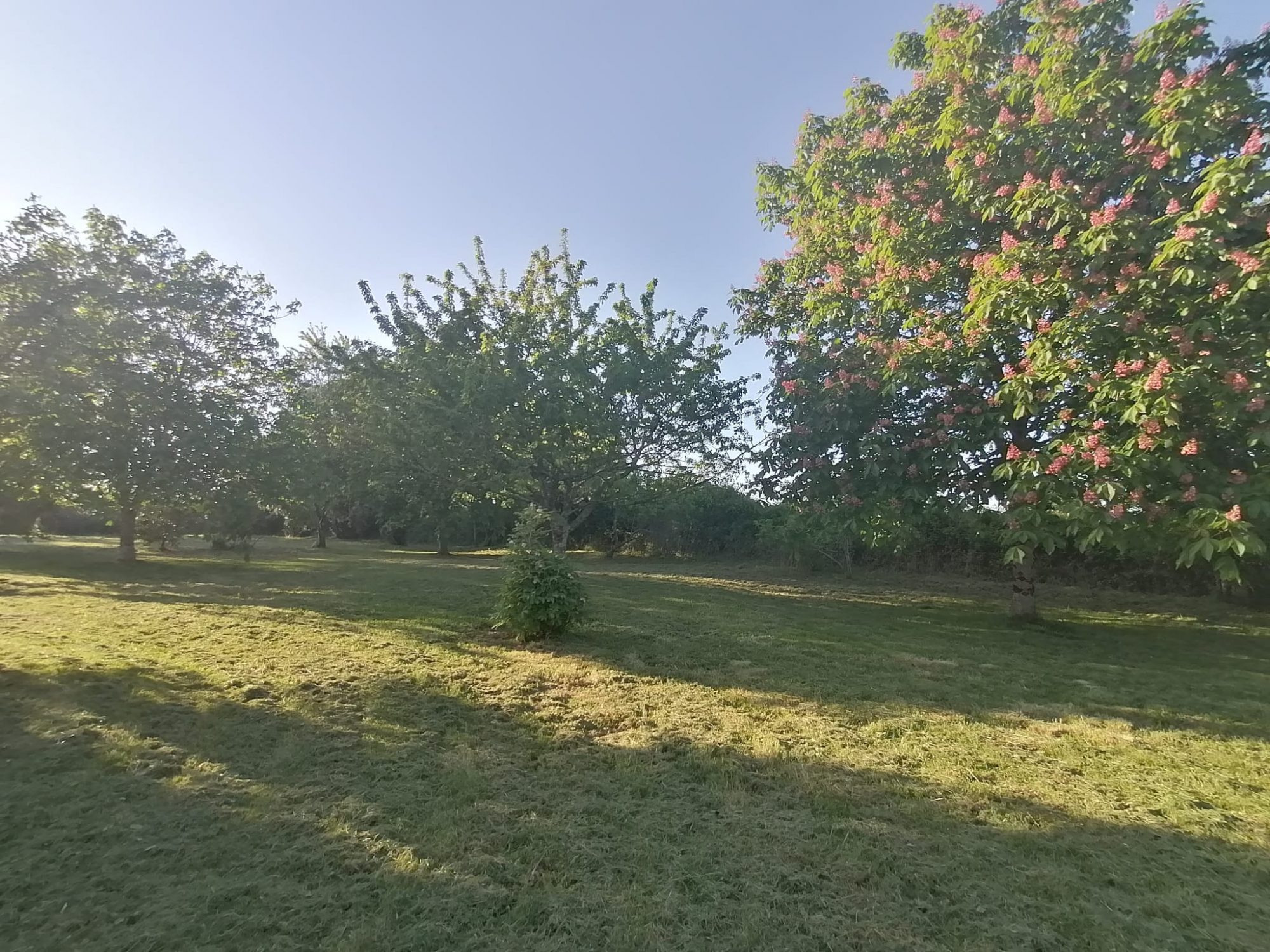 Maison 6 pièces 141 m² · à Luchapt · 141 m² · 189 000 €