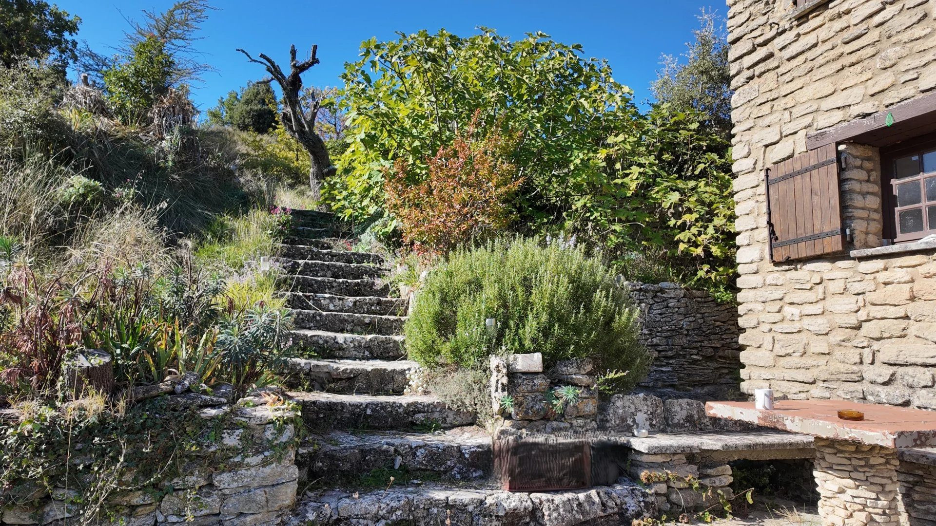 Domaine provençal de 5,3 hectares à Bonnieux – Mas en pierre – À pied du village