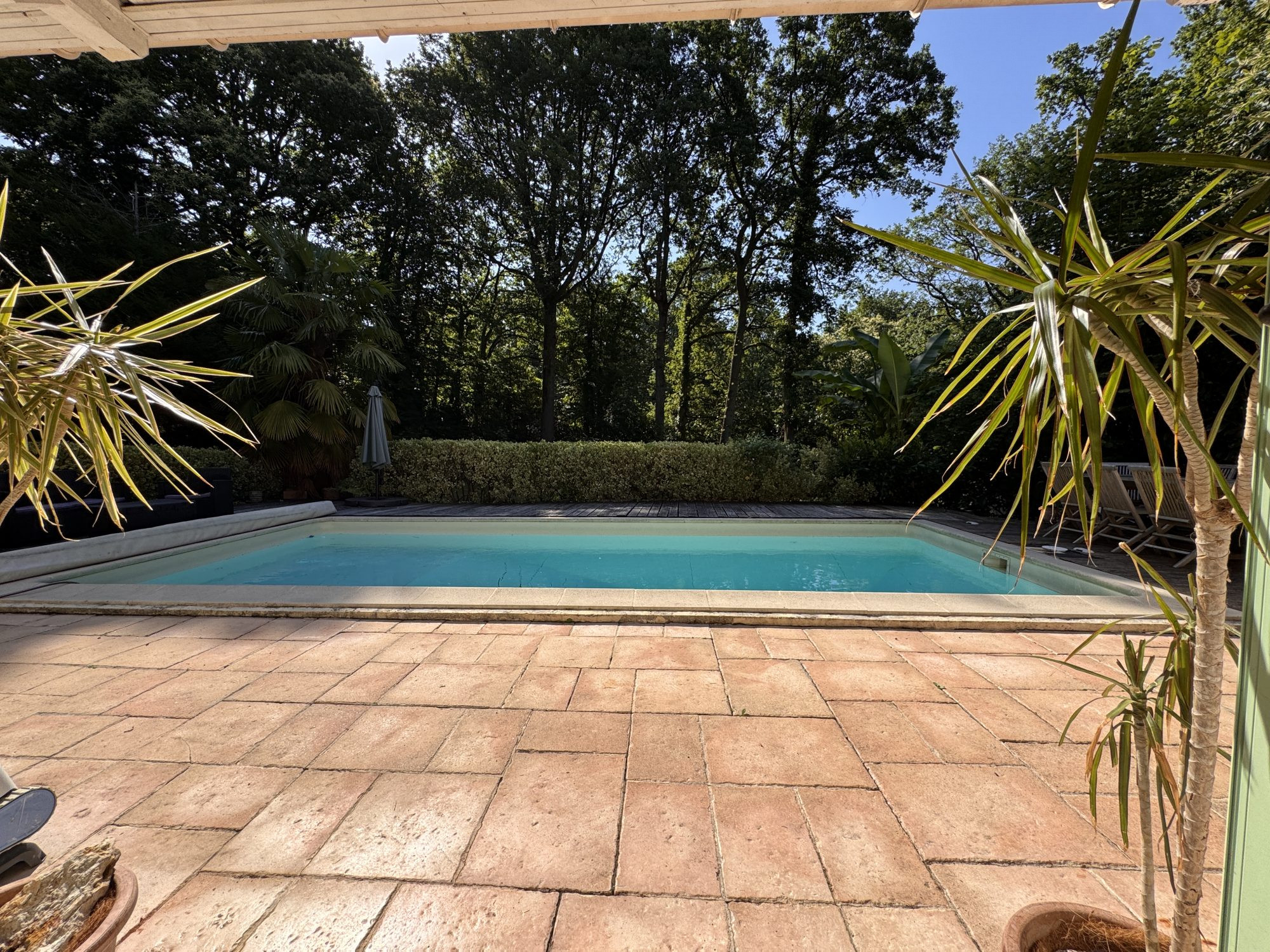 House with Heated Swimming Pool 5