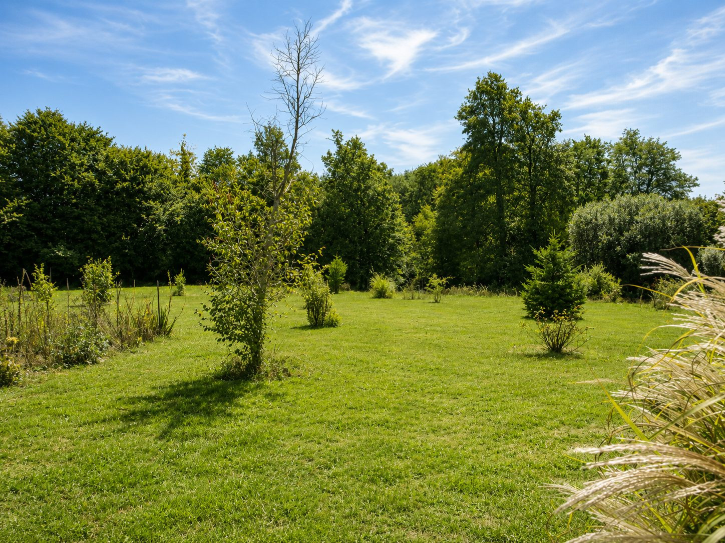 Maison à vendre à Busserolles, 219 m²