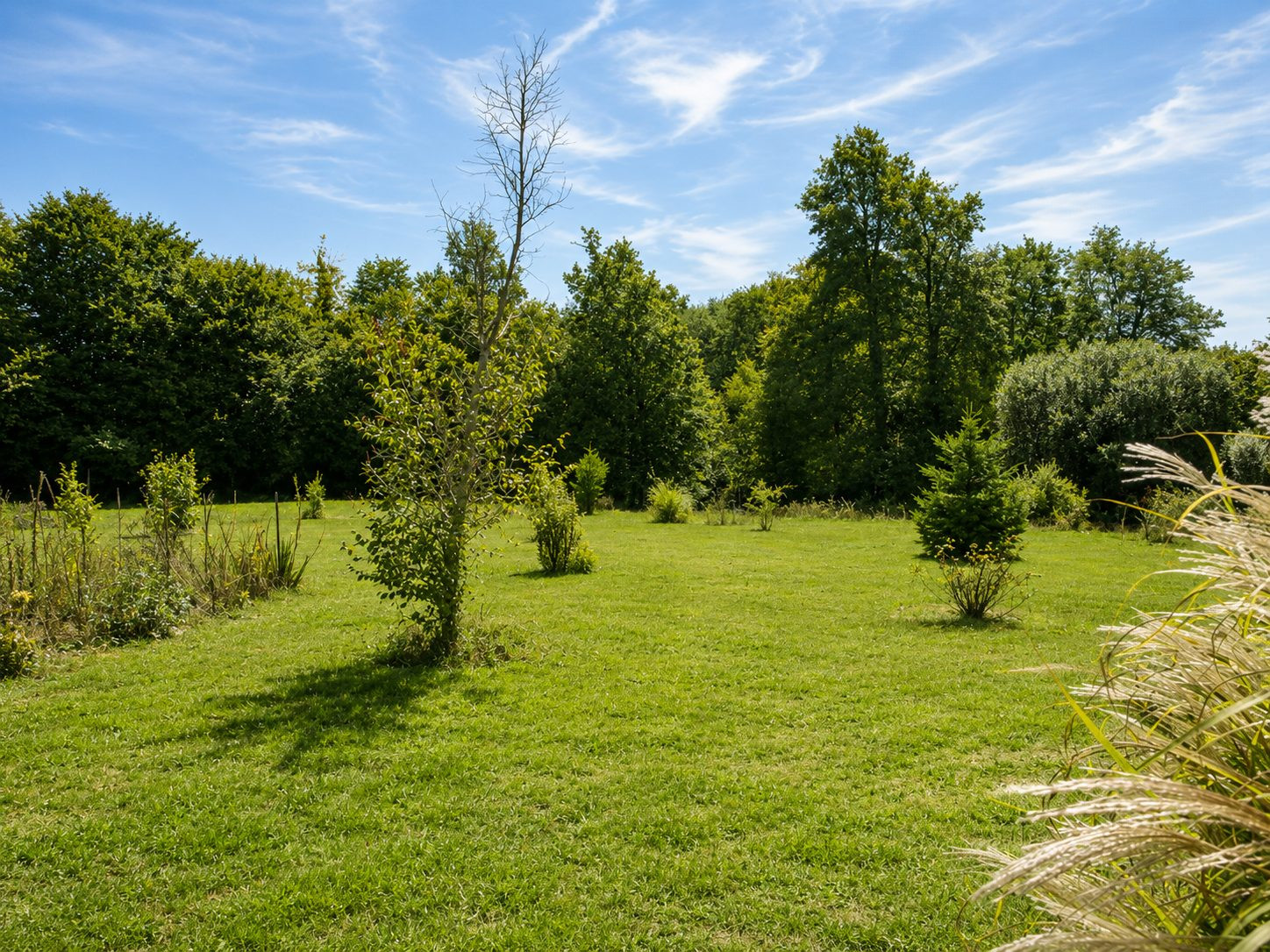 Fully renovated stone family home in Busserolles 4