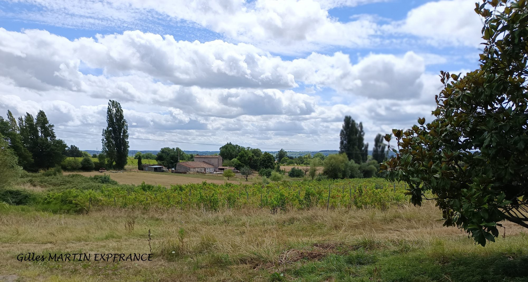 Former Wine-Growing Estate 3