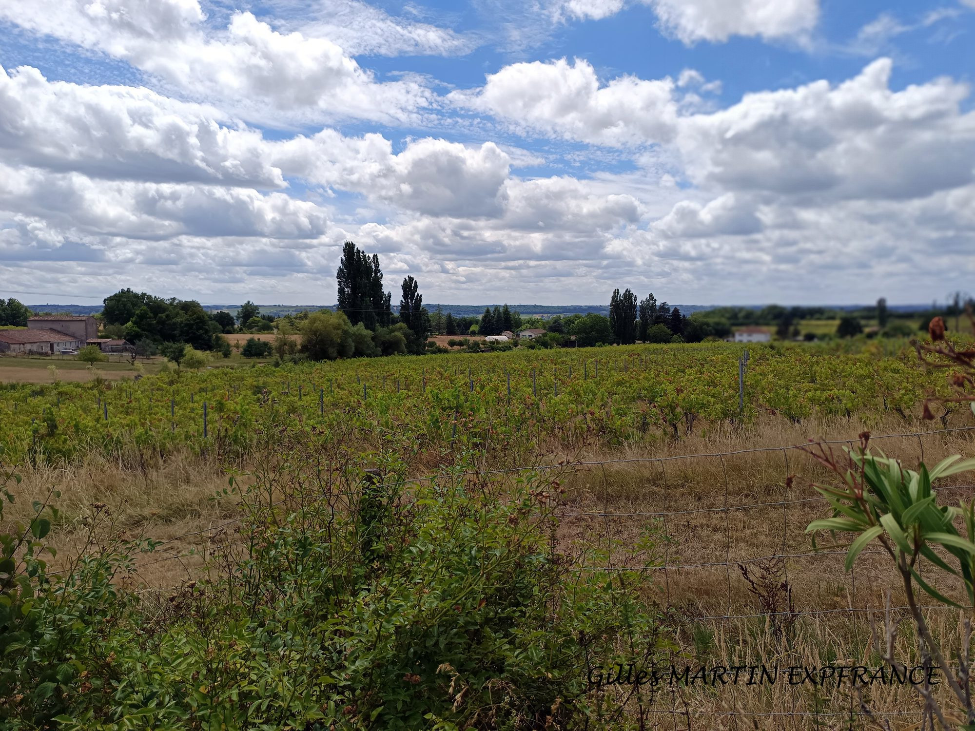 Former Wine-Growing Estate 4