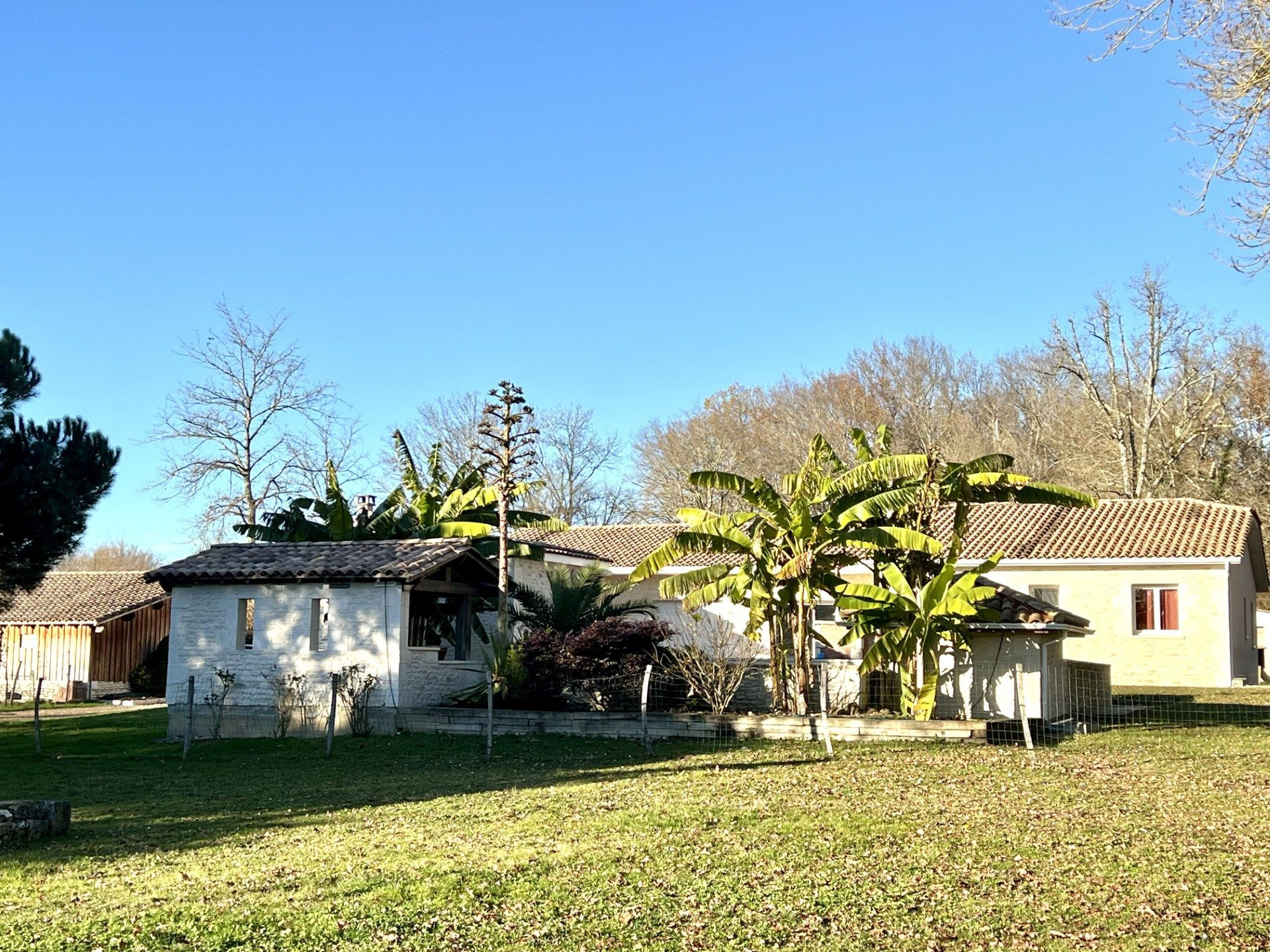 Modern single-story home with pool and outbuildings 2