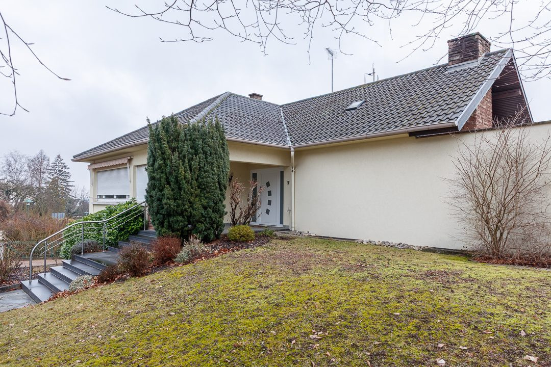 Prestigious Family Property – Vineyard Hill in Mundolsheim 4