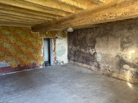 EXCLUSIVE - RARE OPPORTUNITY NOT TO BE MISSED 3