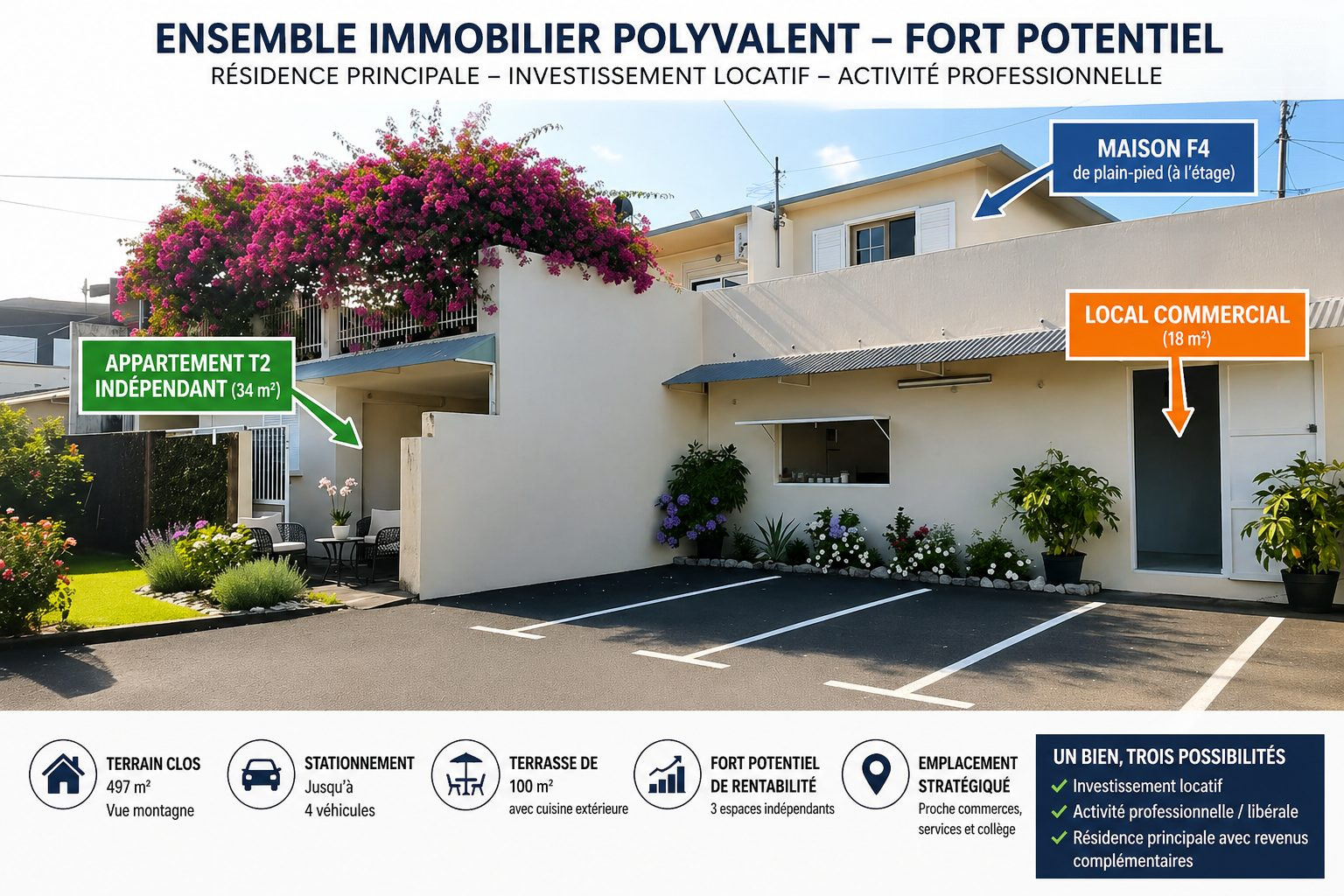 À VENDRE - Ensemble immobilier rentable – Maison F4 + T2 + local commercial – 400 000 € – Sainte-Marie La Grande Montée