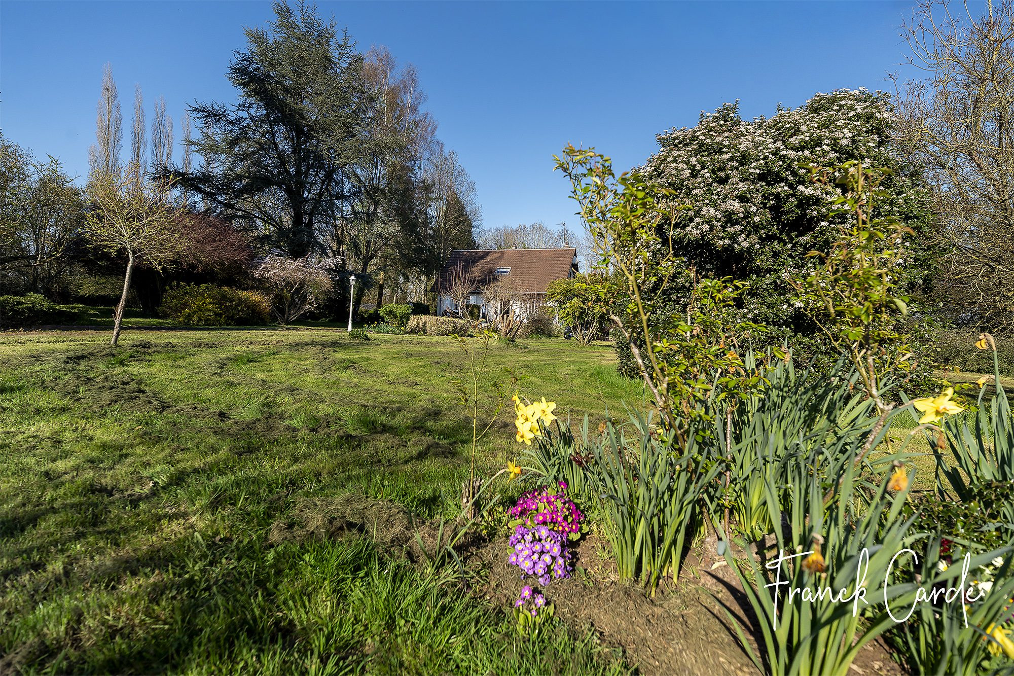 À vendre – Pavillon avec vue sur la nature, au calme, sur 7000 m² de terrain