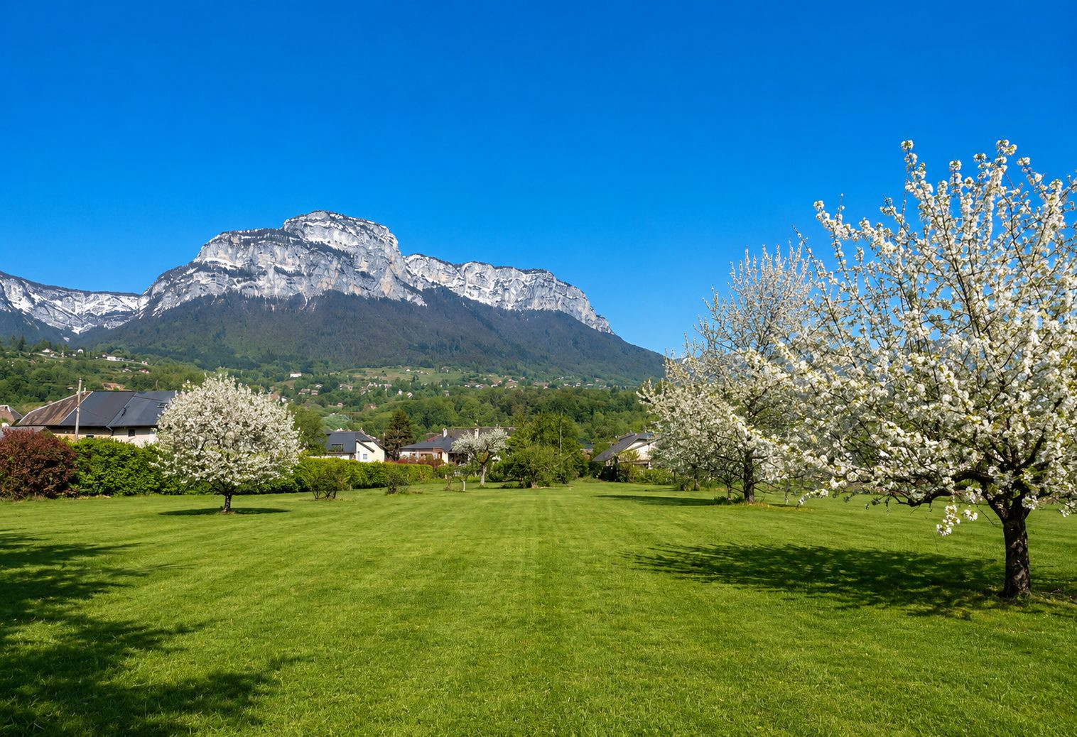 Maison à vendre à La Ravoire, 390 m²