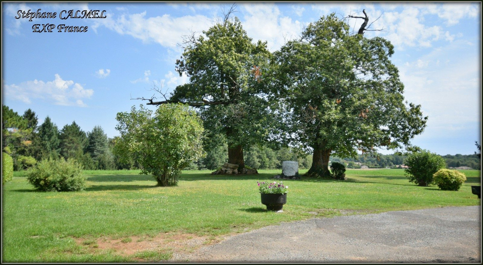 Lalinde Area - 20 kms from Bergerac - Peaceful Setting - Farmhouse + 2 Gites - 6 Hectares of Land 4