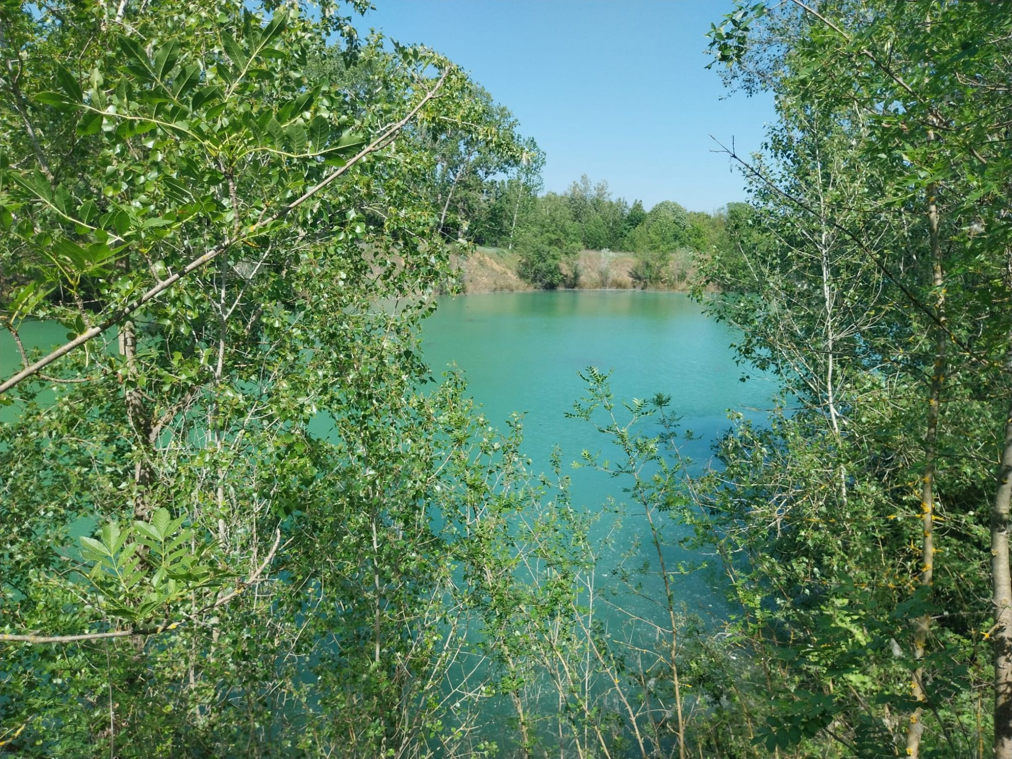 MOULIN