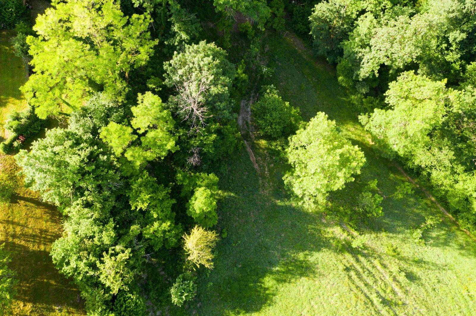 Ancienne ferme rénovée sur 3,4 ha à Alby-sur-Chéran – Havre de paix équestre au cœur de la nature