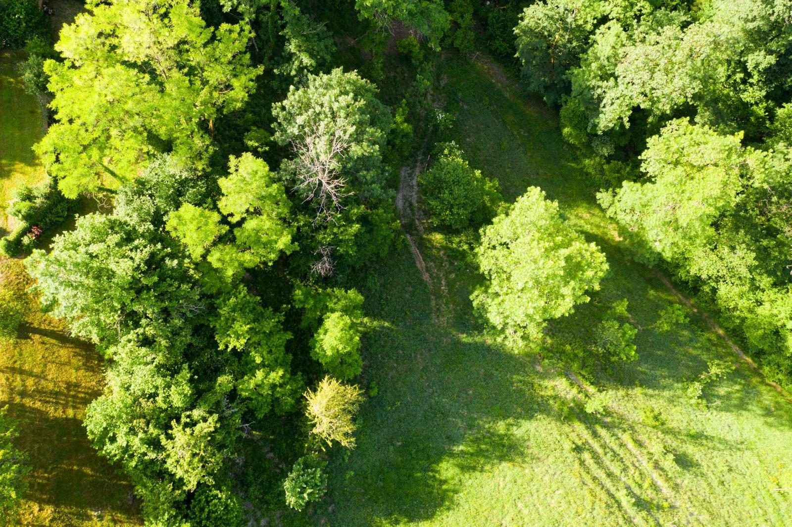 Maison à vendre à Alby-sur-Chéran, 116 m²