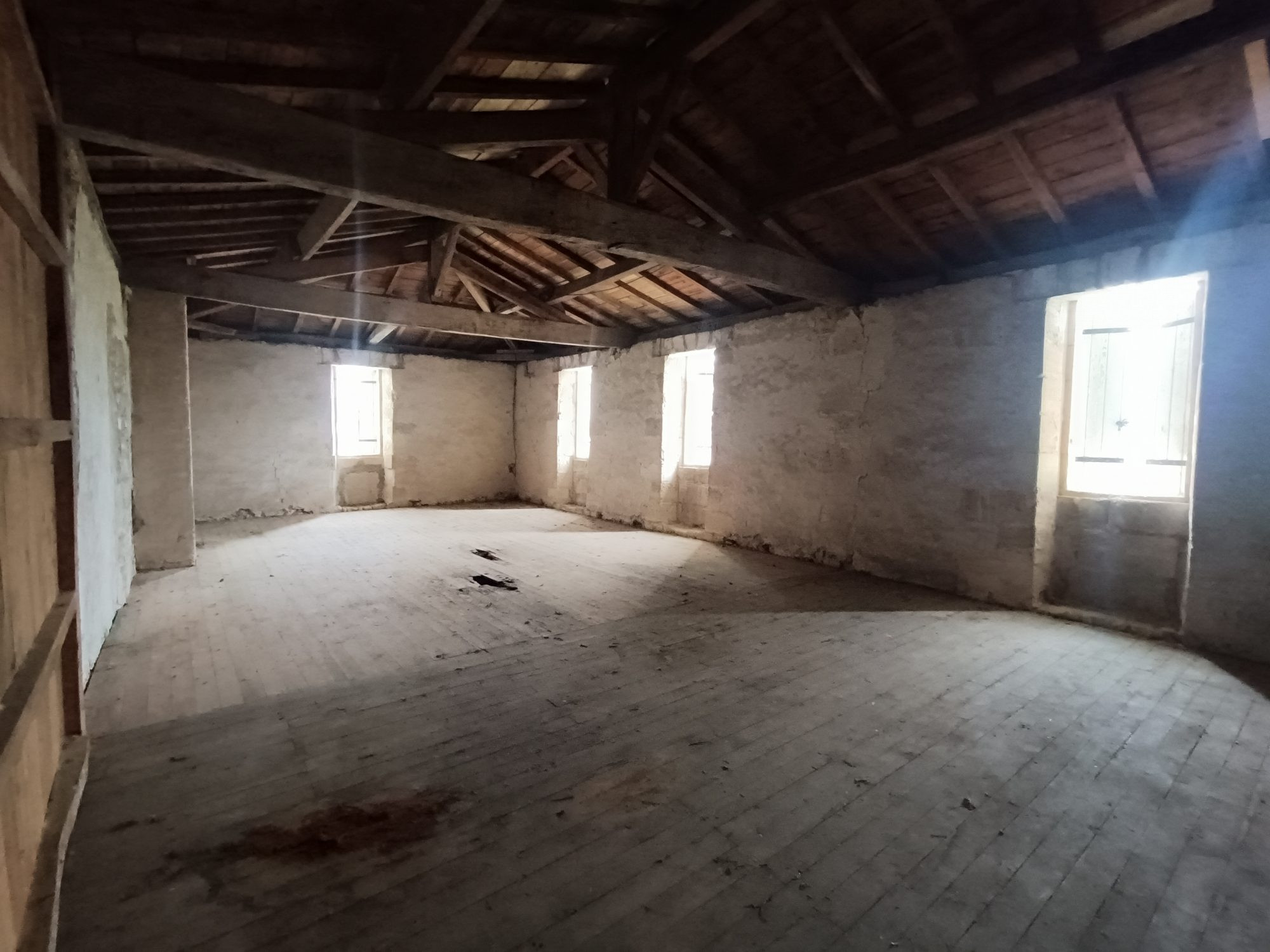 Maison à vendre à Saint-Martin-du-Bois, 320 m²