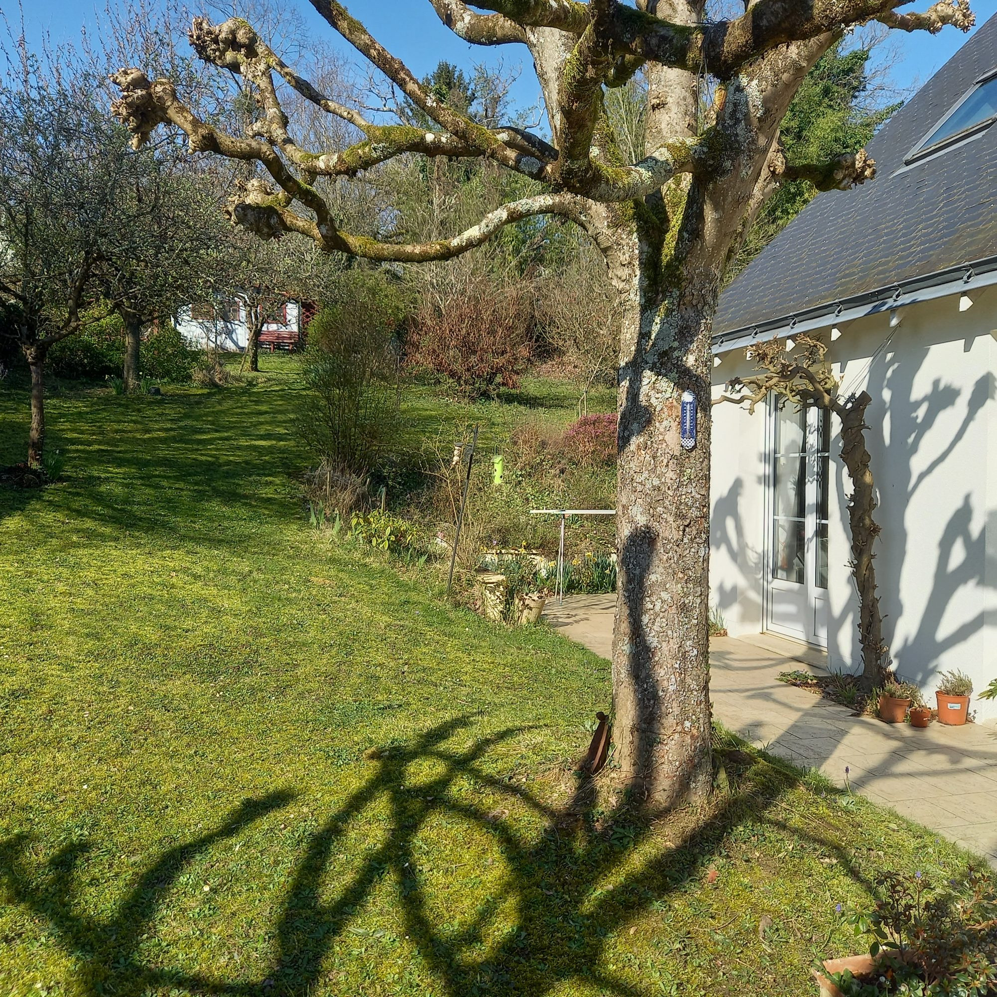 ✨ LOVE AT FIRST SIGHT IN VOUVRAY (37) – Superb bright family home with large enclosed garden 3