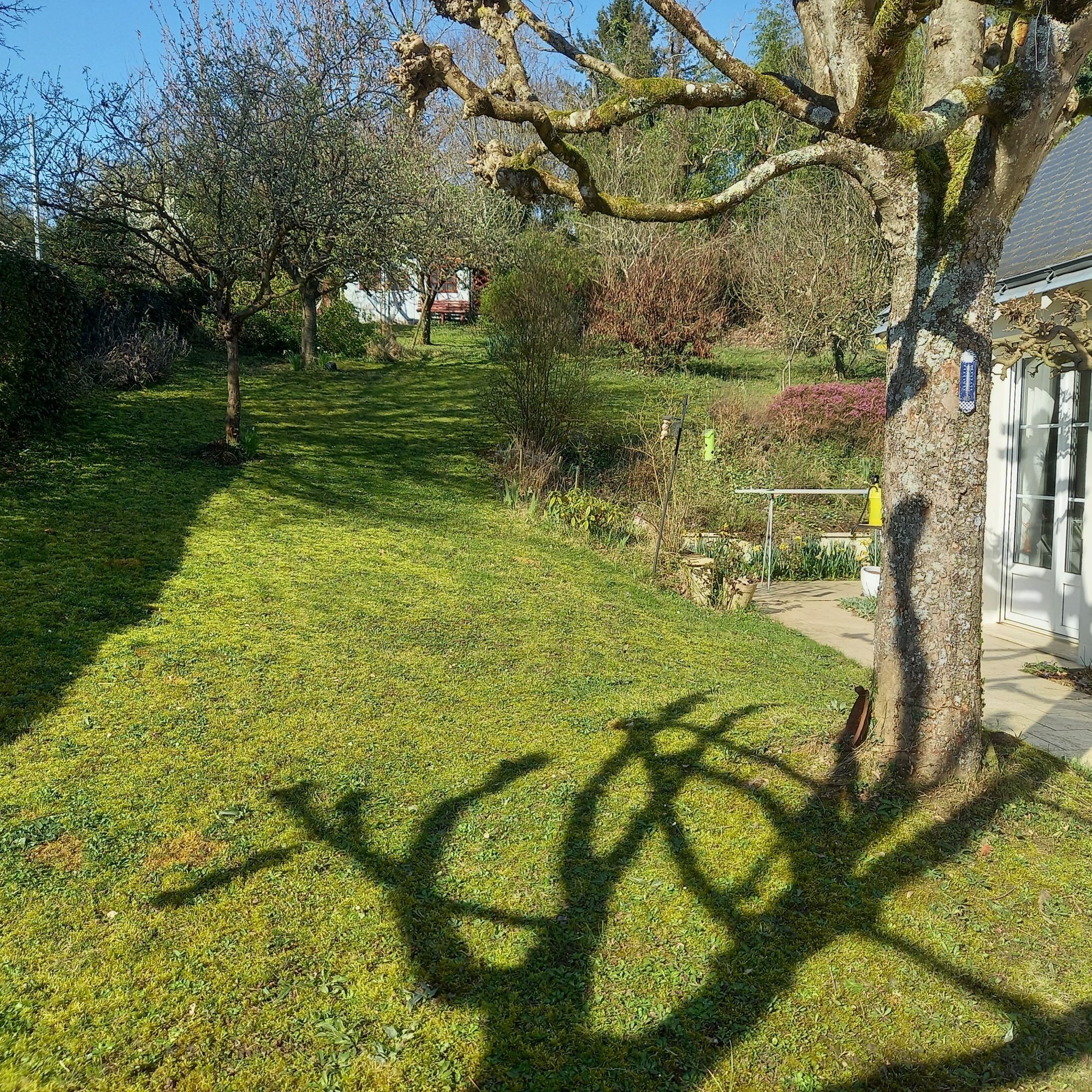 ✨ LOVE AT FIRST SIGHT IN VOUVRAY (37) – Superb bright family home with large enclosed garden 4