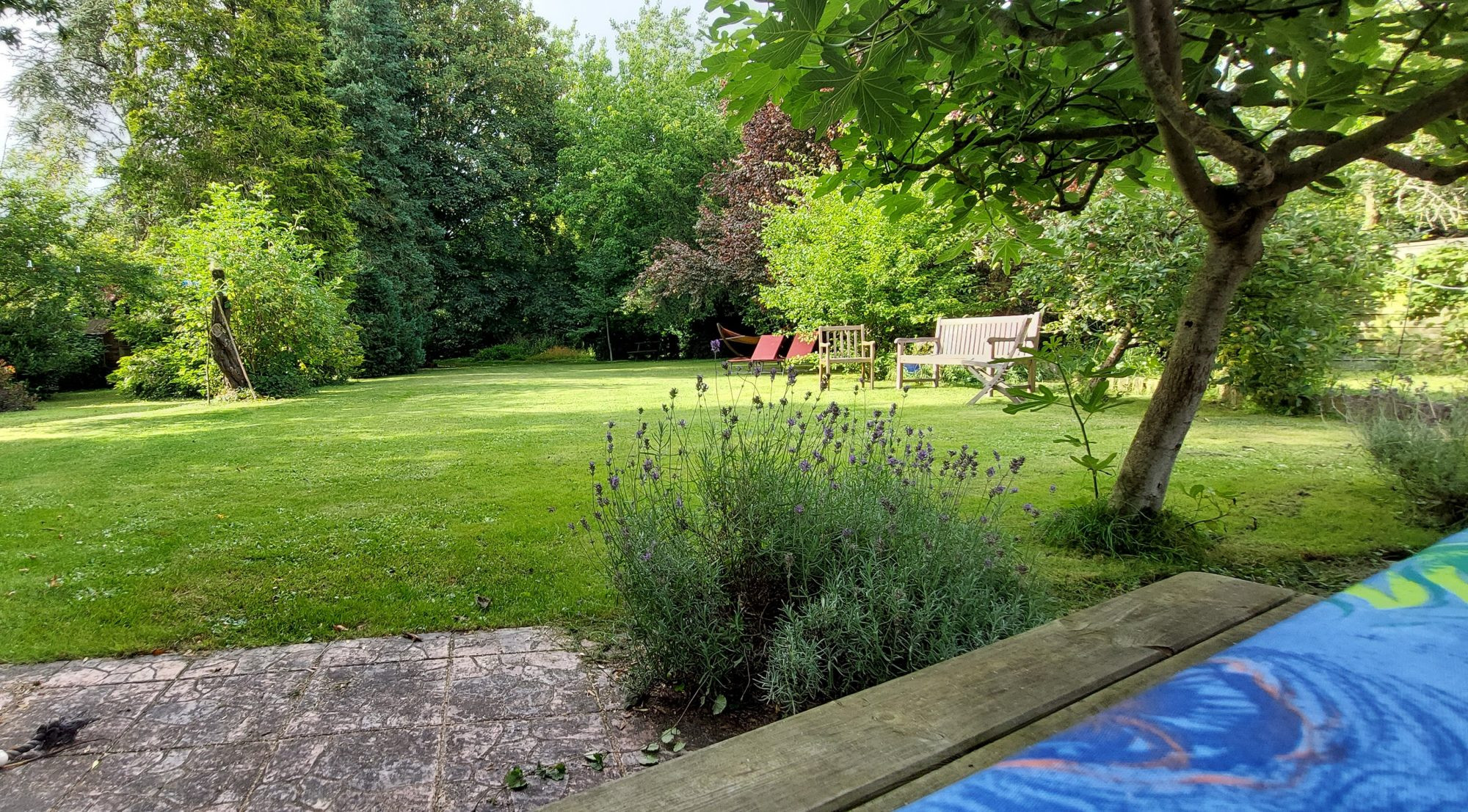 Propriété 373m2 au coeur de Villers Bretonneux