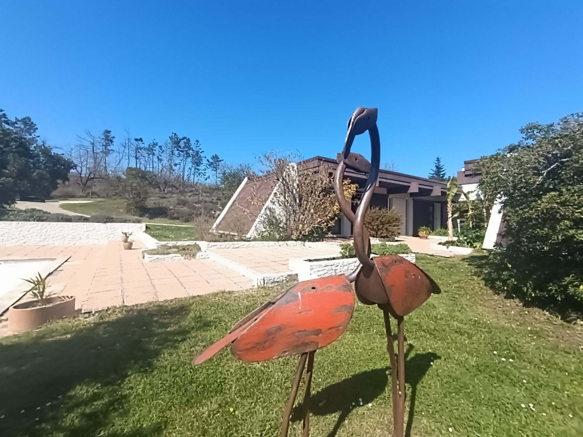 Architectural Signature 1980: A Sanctuary of Light and Nature in Chamadelle (33230) 3