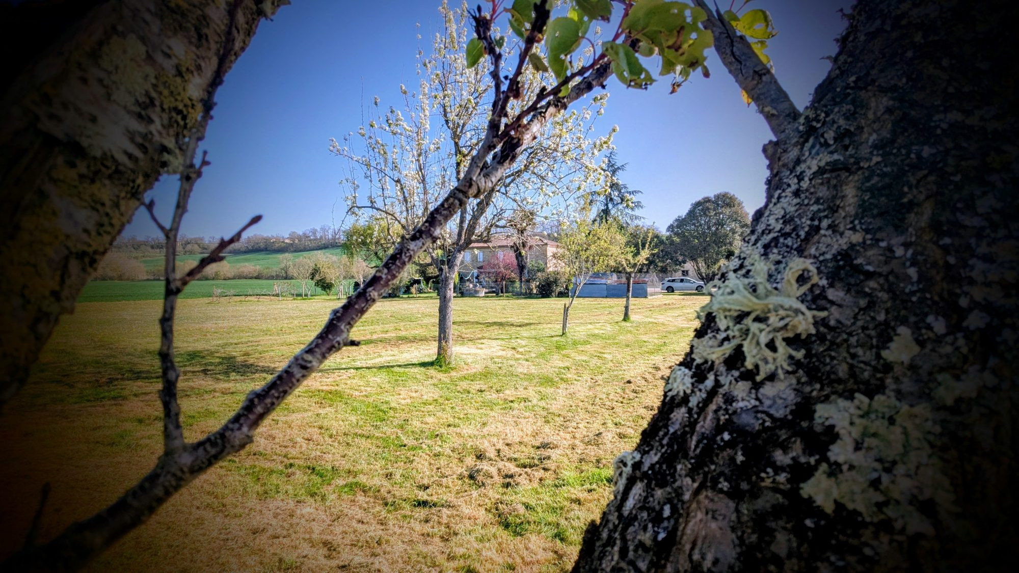 Maison de campagne avec dépendances et 4,1 hectares – Secteur Condom / Valence-sur-Baïse