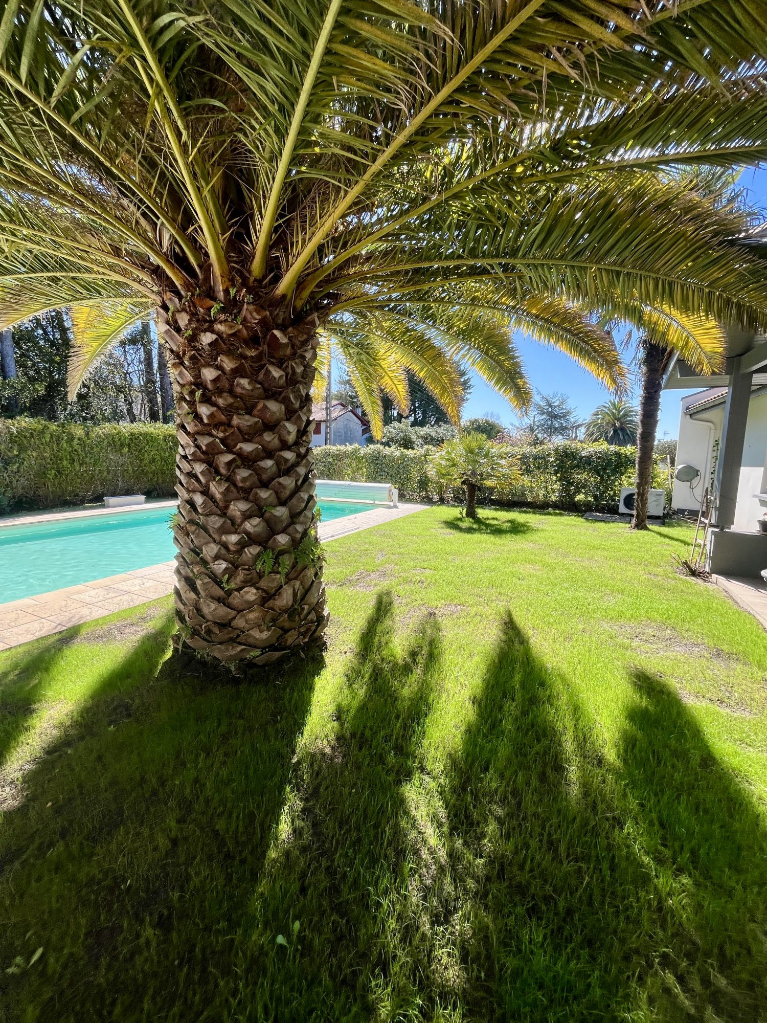 Biarritz House 171 m2 4