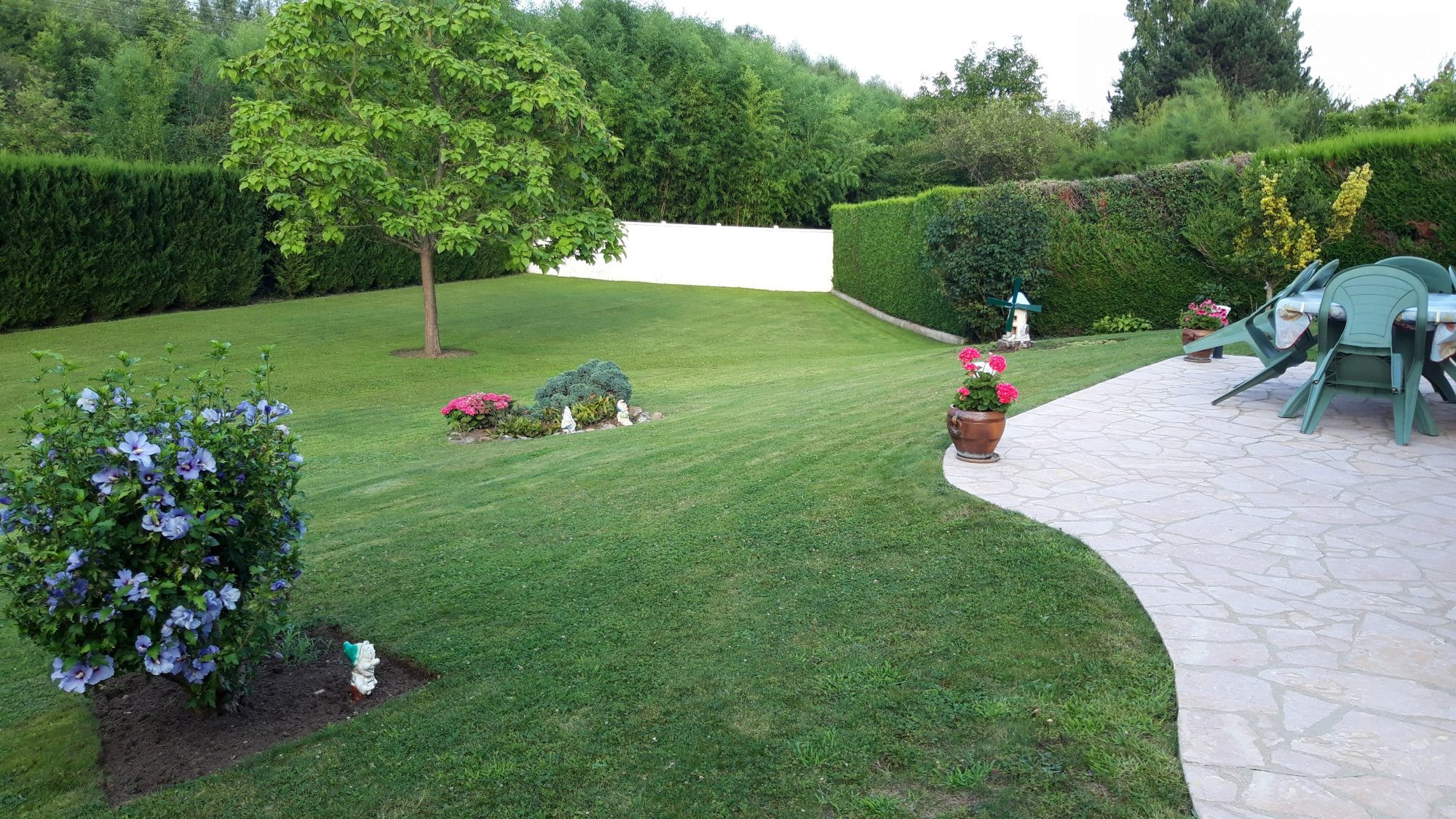 HOUSE - 6 ROOMS - SINGLE LEVEL POSSIBLE 3