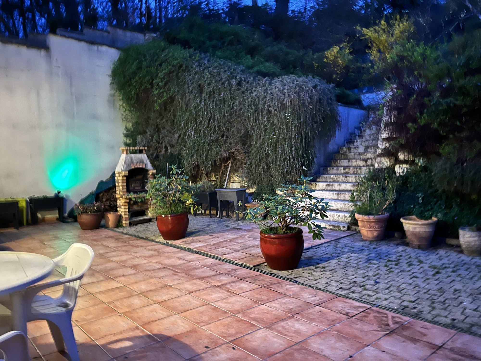 Confidential House in Private Forest – A Rare Signature Between Sovereign Nature and Absolute Elegance 3
