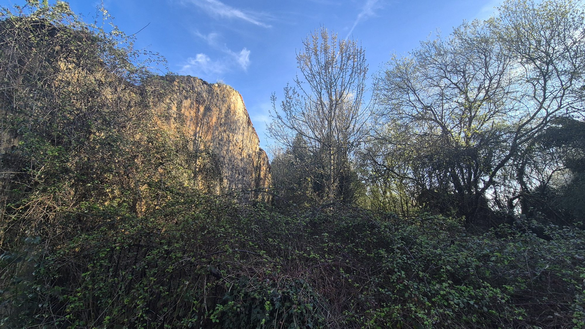 Ensemble immobilier à rénover intégralement – fort potentiel – 1 hectare de terrain