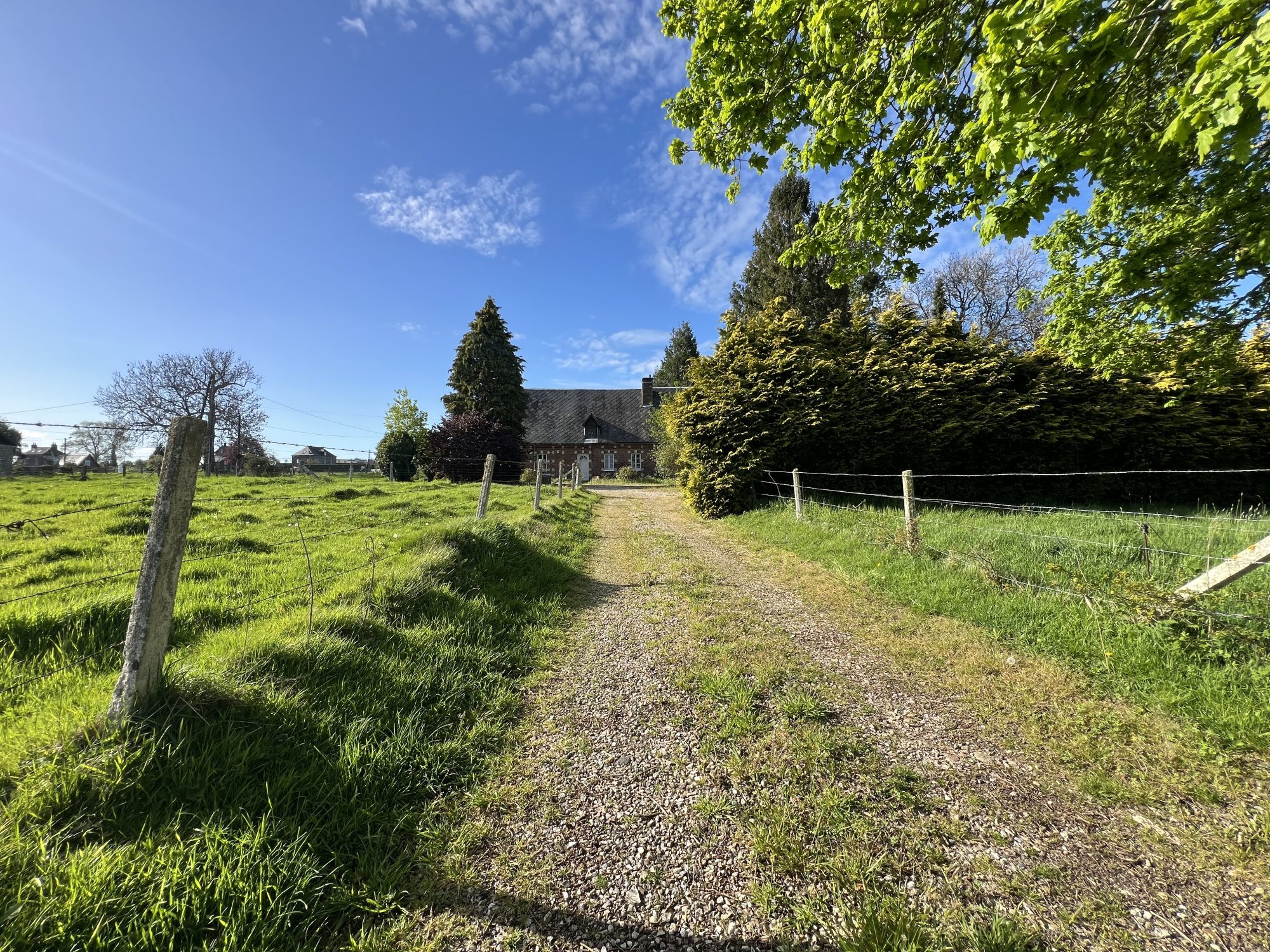 Brick Farmhouse – Limésy – Peaceful Setting, 6 Hectares of Land 4